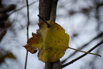 photography and healing